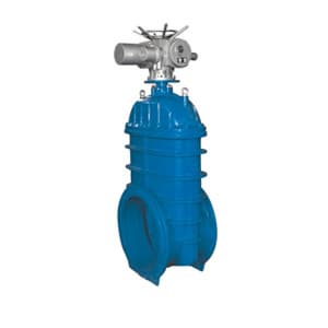 Resilient seated gate valve of power station valve